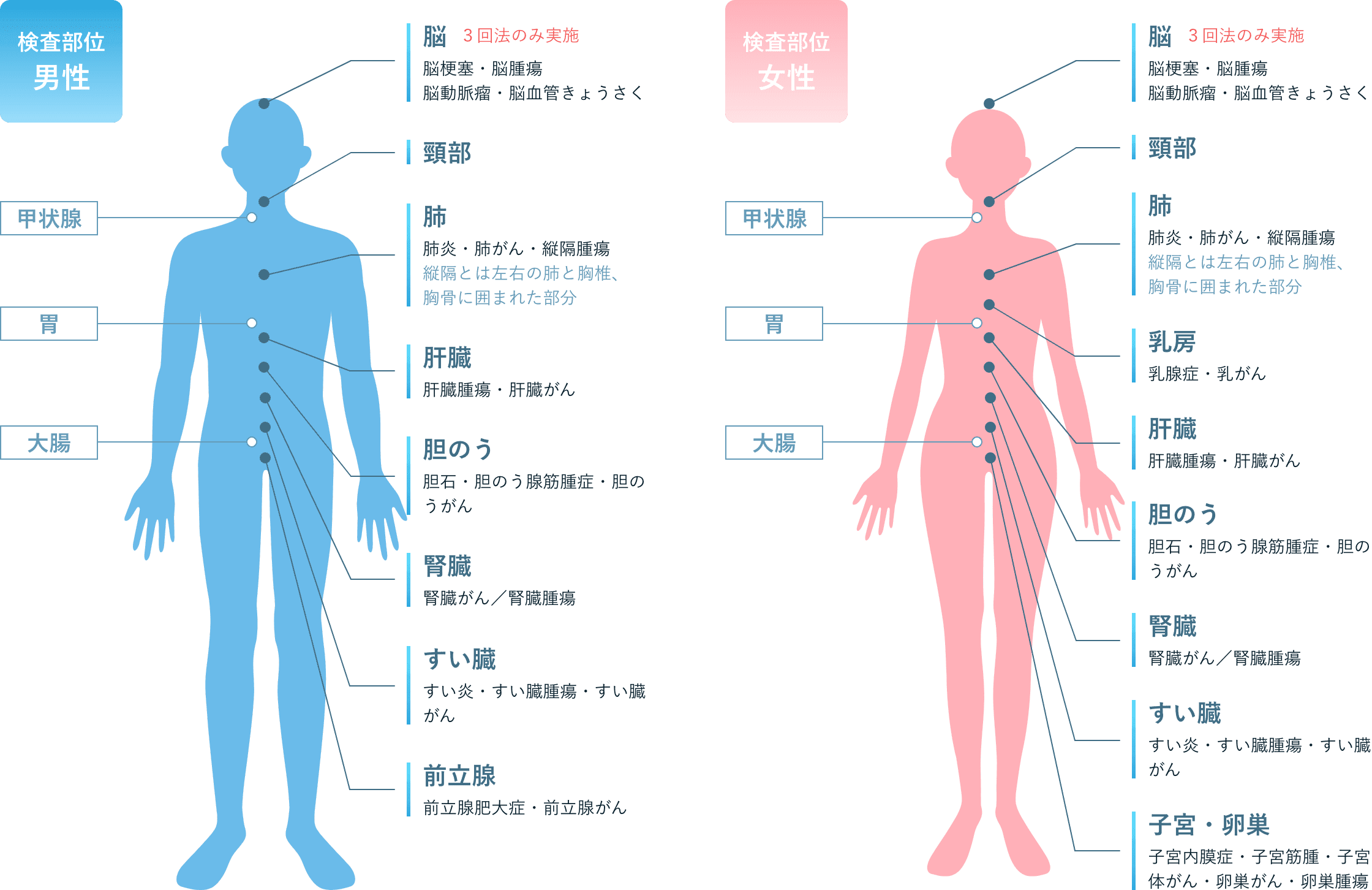 【検査部位 男性】脳：脳梗塞・脳腫瘍・脳動脈瘤・脳血管きょうさく、頸部、肺：肺炎・肺がん・縦隔腫瘍（縦隔とは左右の肺と胸椎、胸骨に囲まれた部分）、肝臓：肝臓腫瘍・肝臓がん、胆のう：胆石・胆のう腺筋腫症・胆のうがん、腎臓：腎臓がん／腎臓腫瘍、すい臓：すい炎・すい臓腫瘍・すい臓がん、前立腺：前立腺肥大症・前立腺がん 【検査部位 女性】脳：脳梗塞・脳腫瘍・脳動脈瘤・脳血管きょうさく、頸部、肺：肺炎・肺がん・縦隔腫瘍（縦隔とは左右の肺と胸椎、胸骨に囲まれた部分）、乳房：乳腺症・乳がん、肝臓：肝臓腫瘍・肝臓がん、胆のう：胆石・胆のう腺筋腫症・胆のうがん、腎臓：腎臓がん／腎臓腫瘍、すい臓：すい炎・すい臓腫瘍・すい臓がん、子宮・卵巣：子宮内膜症・子宮筋腫・子宮体がん・卵巣がん・卵巣腫瘍