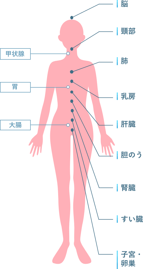 検査部位 女性